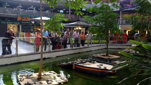 Cinco sitios románticos para llevar a tu pareja en Madrid